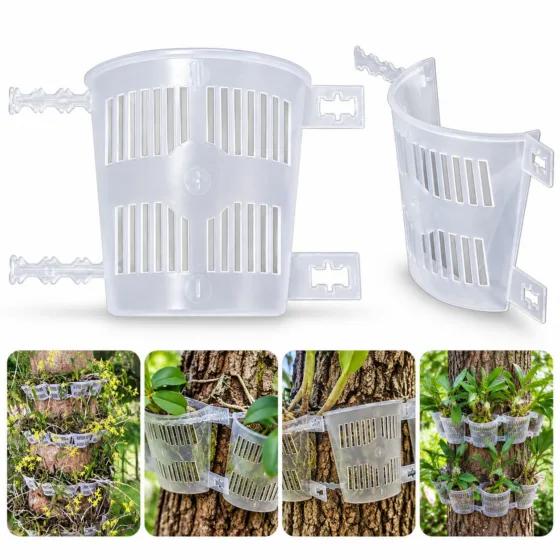 Kit 10 Vasos Ajustáveis para Orquídeas em Árvores